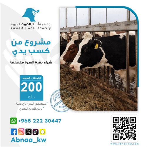 شراء بقرة لأسرة متعففة