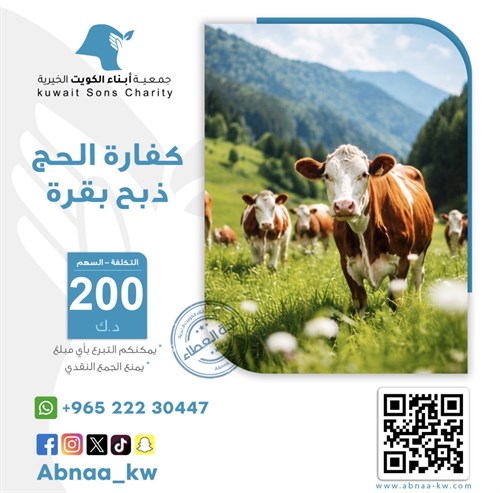 كفارة حج - بقرة